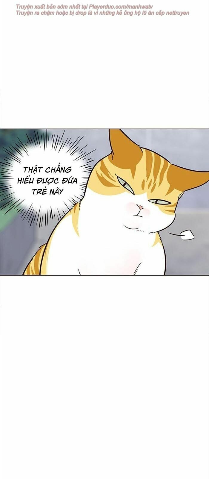 Hoá Thân Thành Mèo: Chapter 36