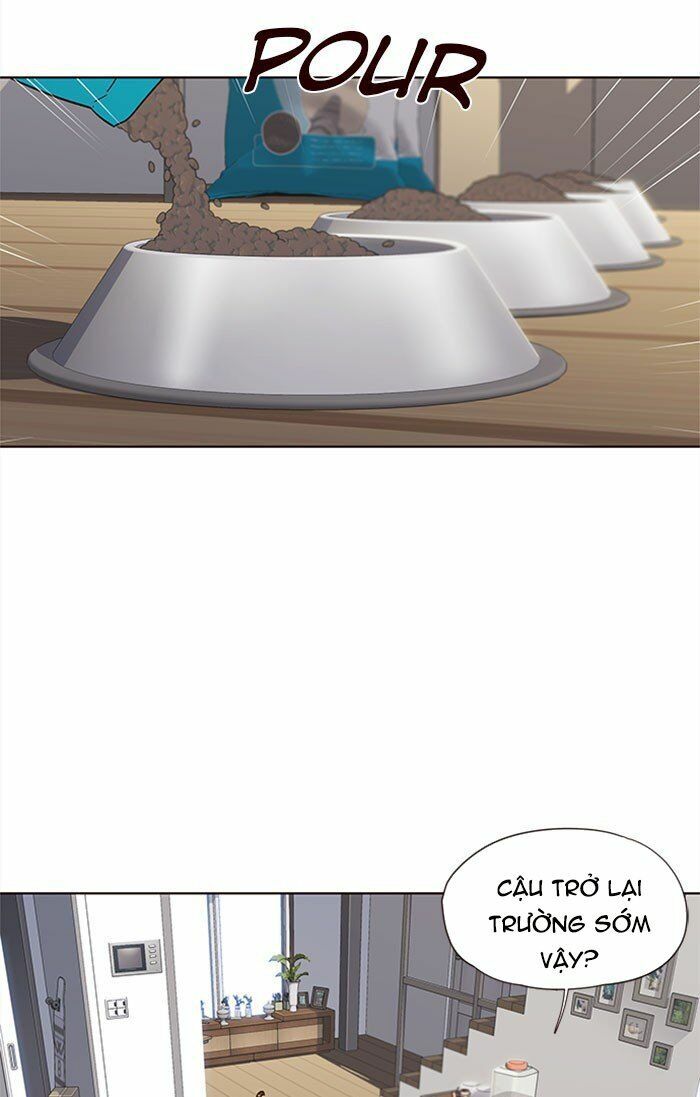 Hoá Thân Thành Mèo: Chapter 37