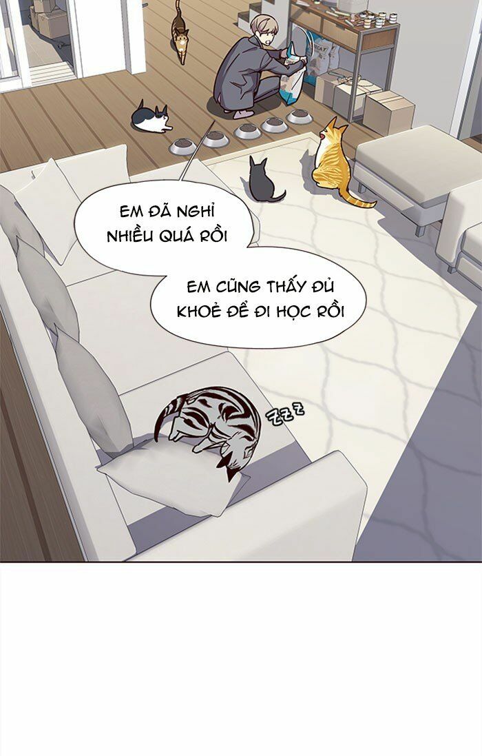 Hoá Thân Thành Mèo: Chapter 37