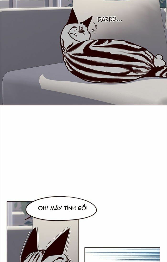 Hoá Thân Thành Mèo: Chapter 37
