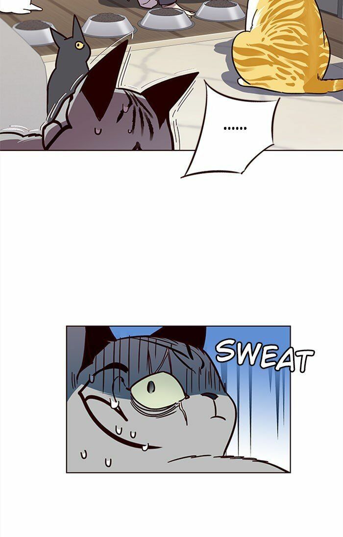 Hoá Thân Thành Mèo: Chapter 37