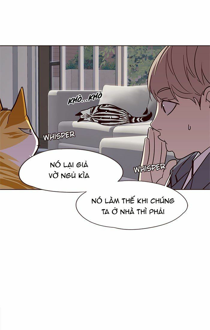 Hoá Thân Thành Mèo: Chapter 37
