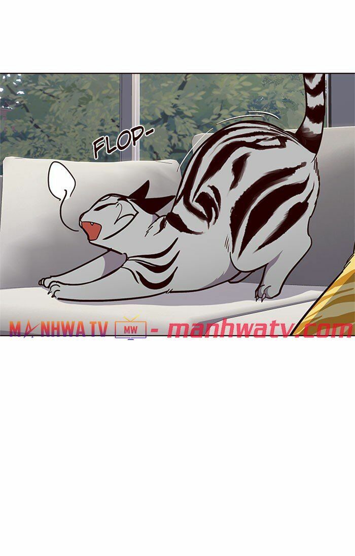 Hoá Thân Thành Mèo: Chapter 37