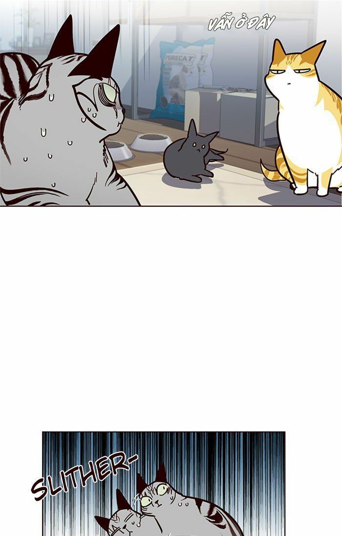 Hoá Thân Thành Mèo: Chapter 37