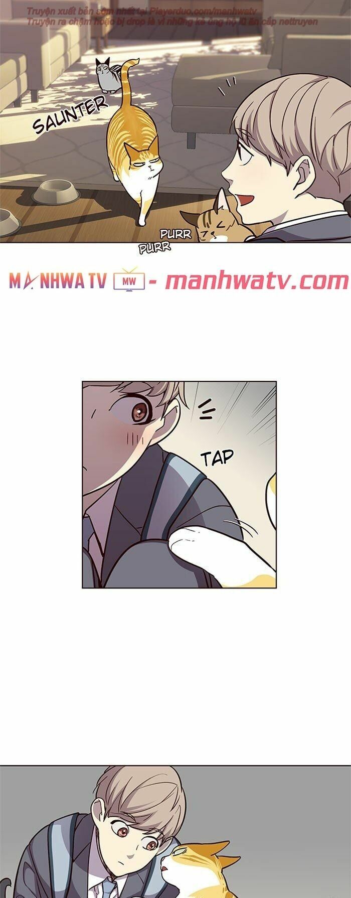 Hoá Thân Thành Mèo: Chapter 38