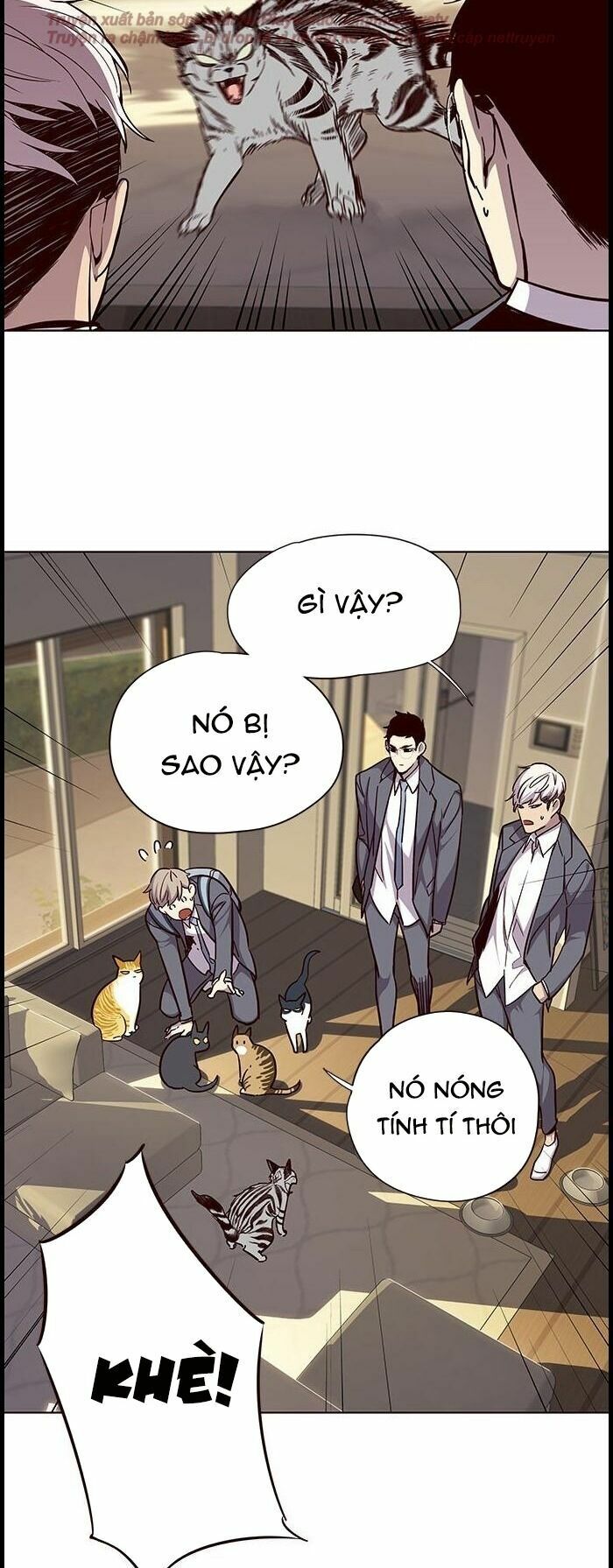 Hoá Thân Thành Mèo: Chapter 38