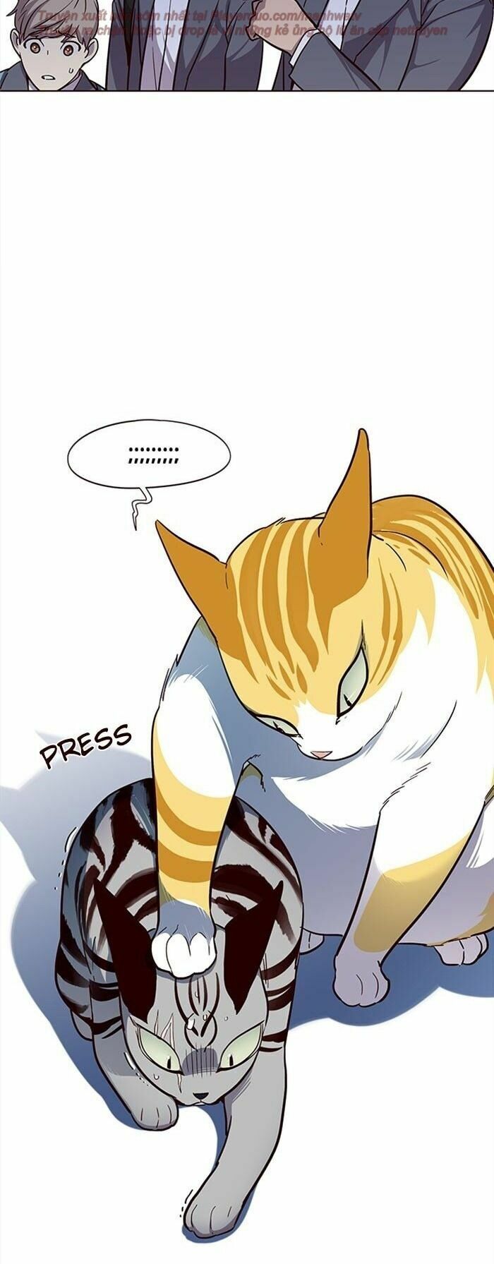 Hoá Thân Thành Mèo: Chapter 38