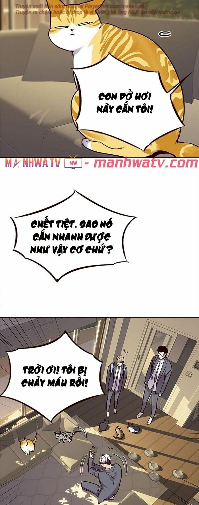 Hoá Thân Thành Mèo: Chapter 38