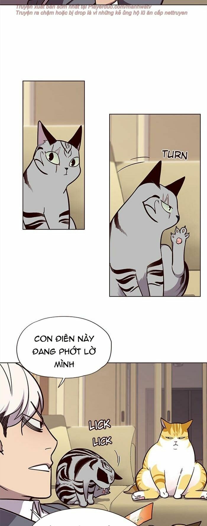 Hoá Thân Thành Mèo: Chapter 38