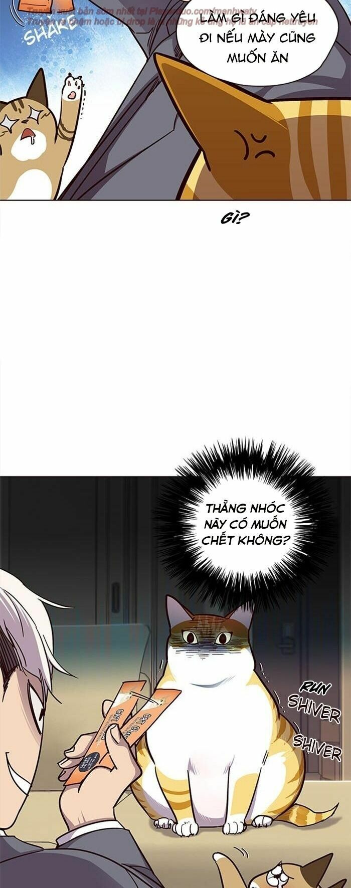 Hoá Thân Thành Mèo: Chapter 38