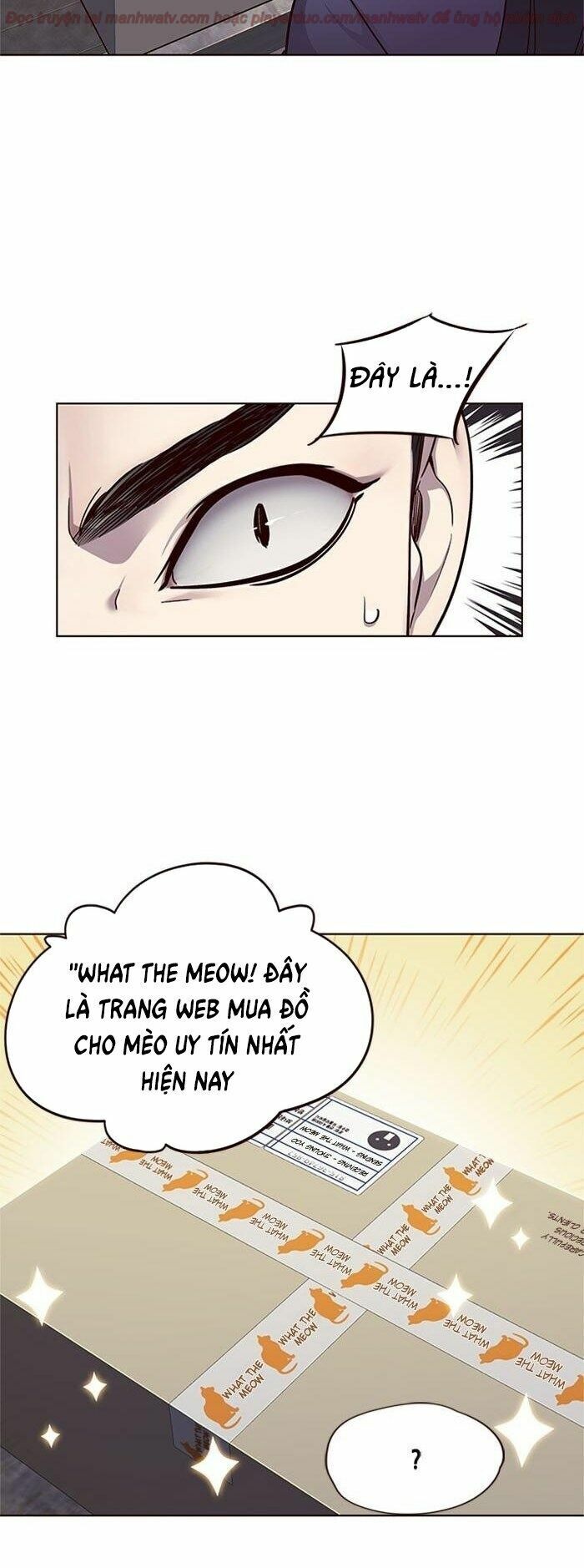 Hoá Thân Thành Mèo: Chapter 39