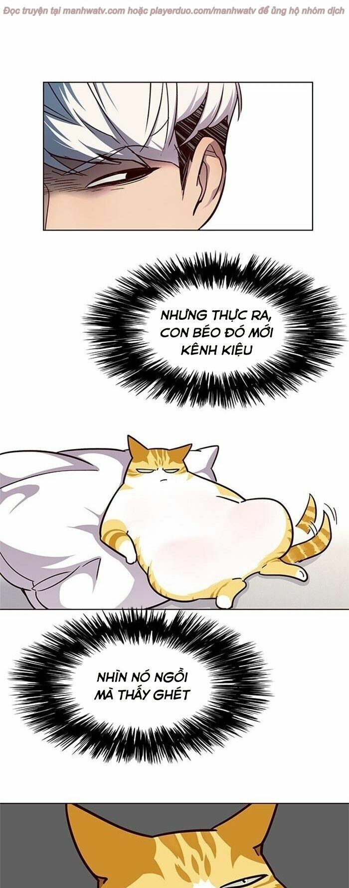 Hoá Thân Thành Mèo: Chapter 39