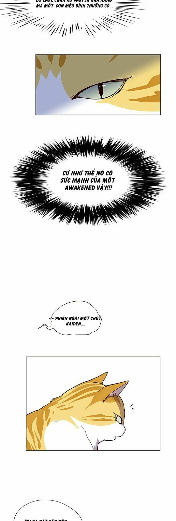 Hoá Thân Thành Mèo: Chapter 4