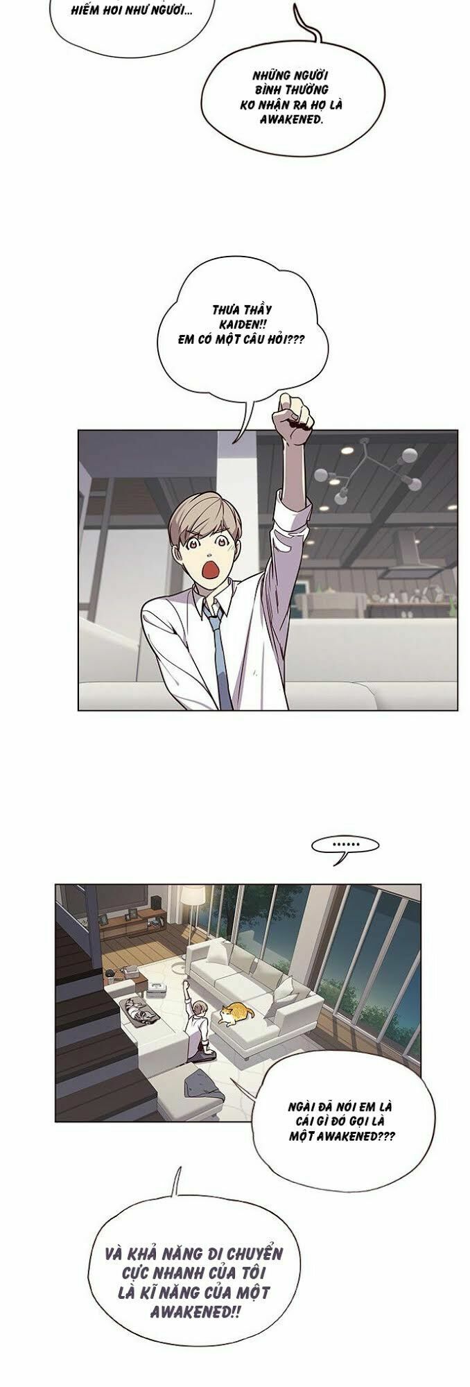 Hoá Thân Thành Mèo: Chapter 4