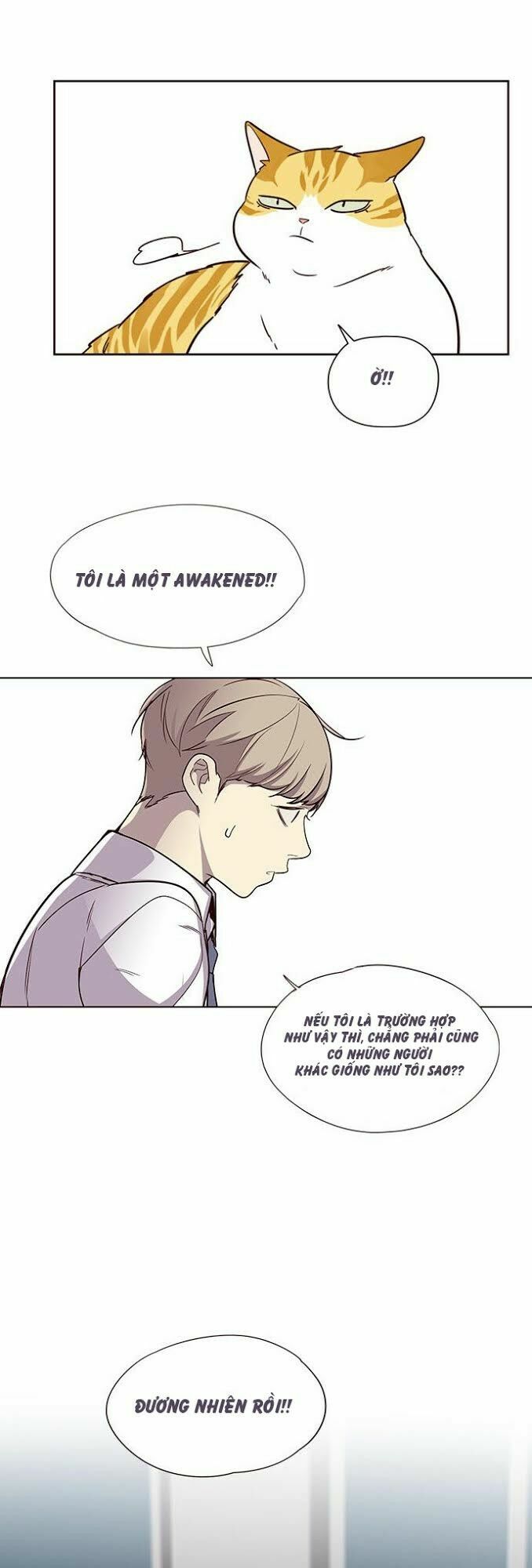 Hoá Thân Thành Mèo: Chapter 4