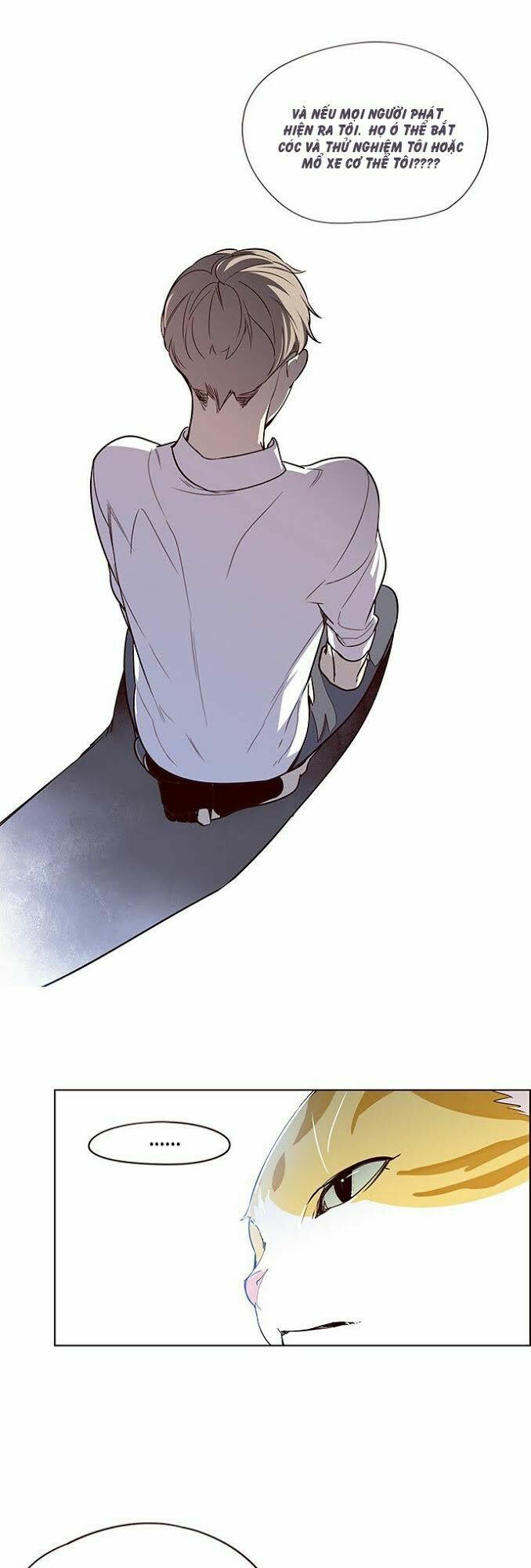 Hoá Thân Thành Mèo: Chapter 4