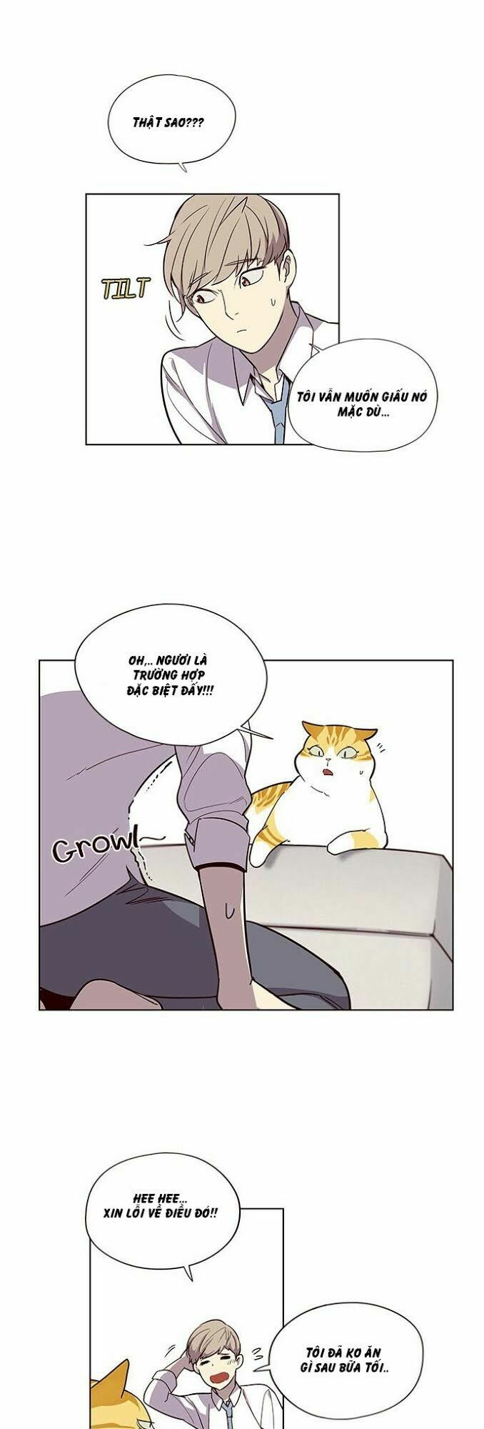 Hoá Thân Thành Mèo: Chapter 4