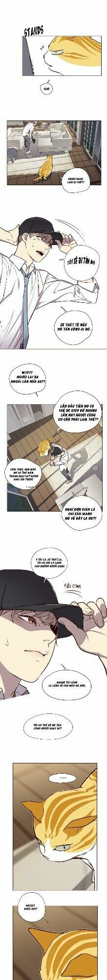 Hoá Thân Thành Mèo: Chapter 4