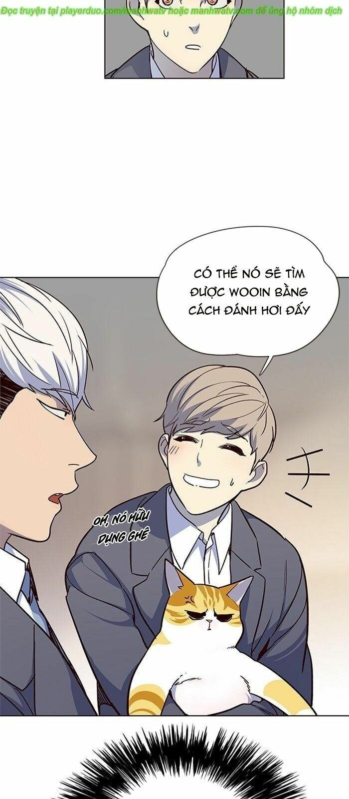 Hoá Thân Thành Mèo: Chapter 40