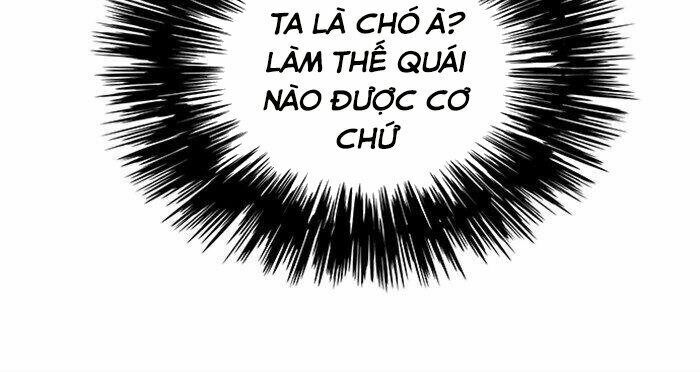 Hoá Thân Thành Mèo: Chapter 40