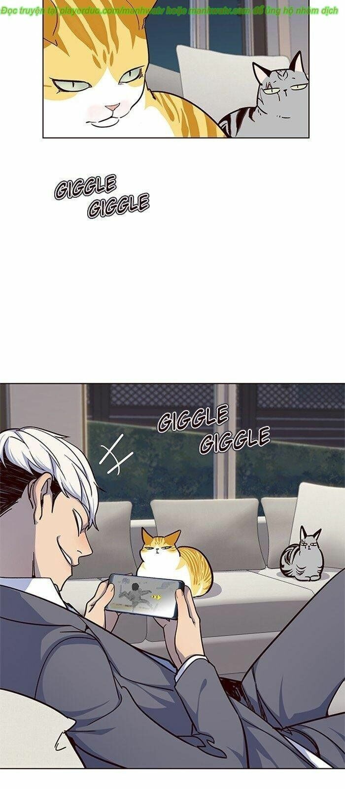Hoá Thân Thành Mèo: Chapter 40