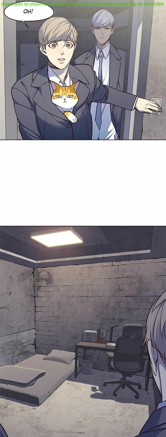 Hoá Thân Thành Mèo: Chapter 41