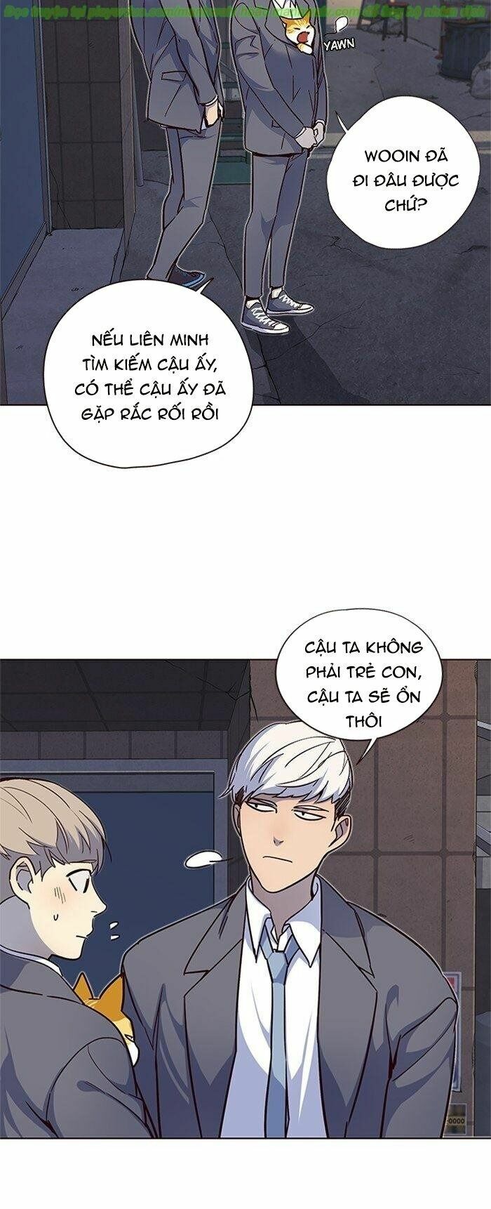 Hoá Thân Thành Mèo: Chapter 41