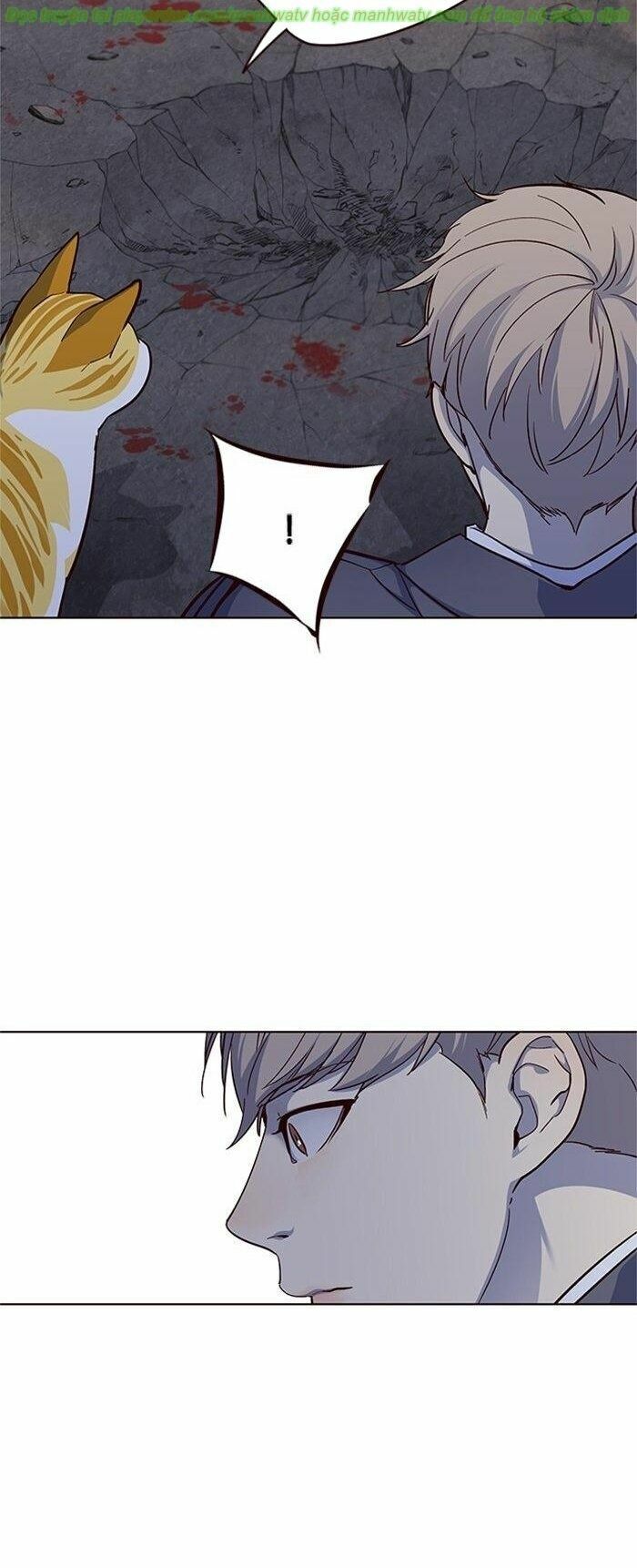 Hoá Thân Thành Mèo: Chapter 41