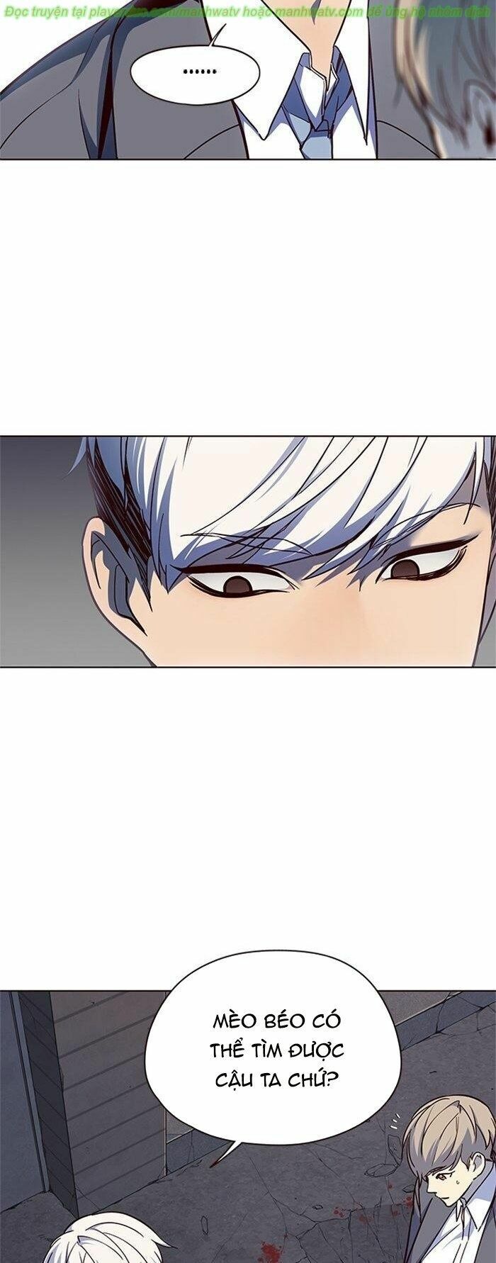 Hoá Thân Thành Mèo: Chapter 41