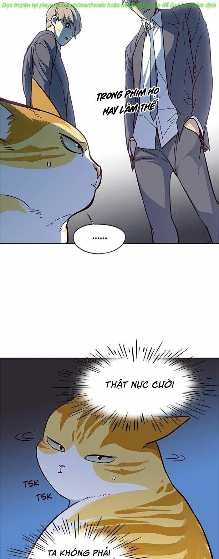 Hoá Thân Thành Mèo: Chapter 41
