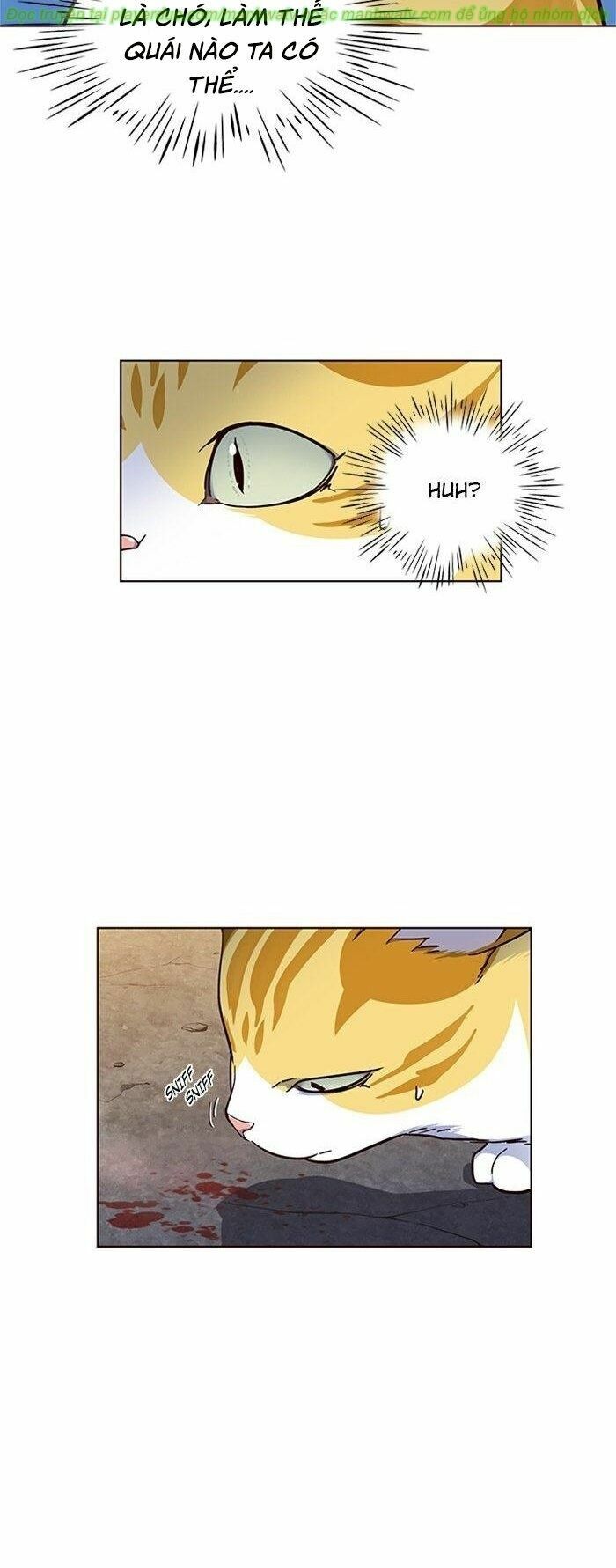 Hoá Thân Thành Mèo: Chapter 41