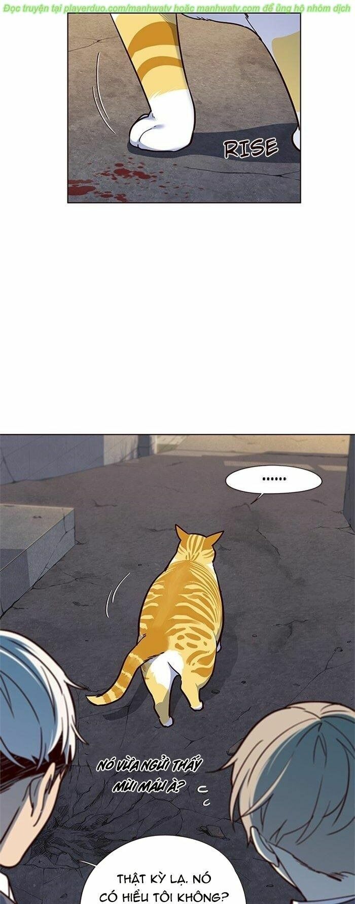 Hoá Thân Thành Mèo: Chapter 41