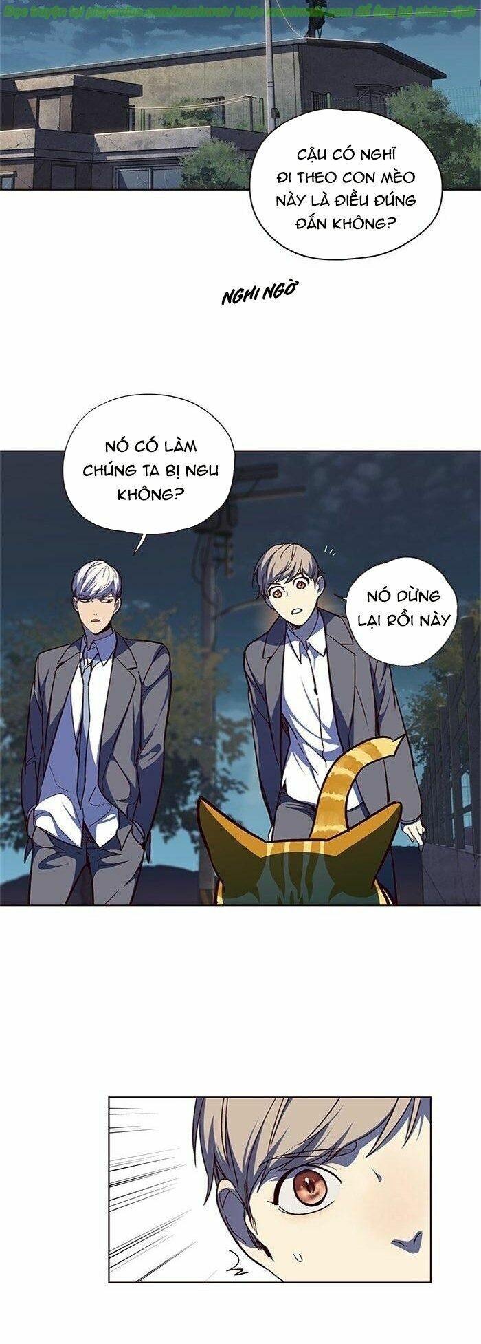 Hoá Thân Thành Mèo: Chapter 41