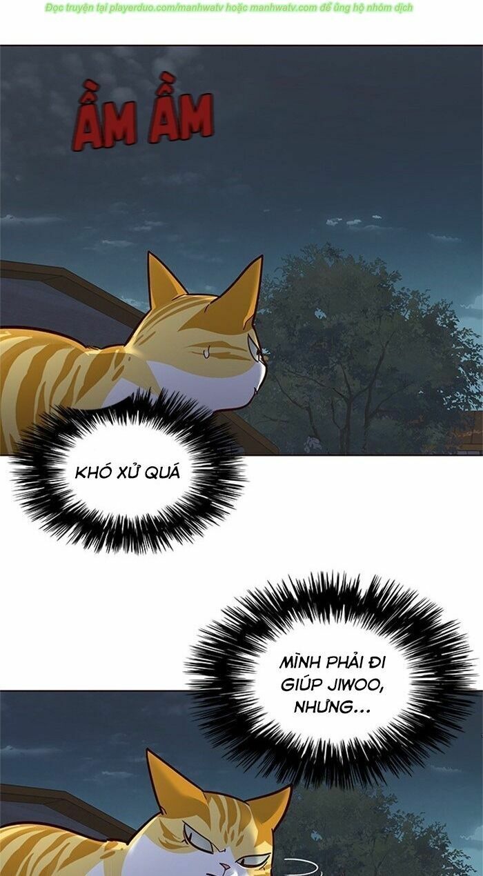 Hoá Thân Thành Mèo: Chapter 43