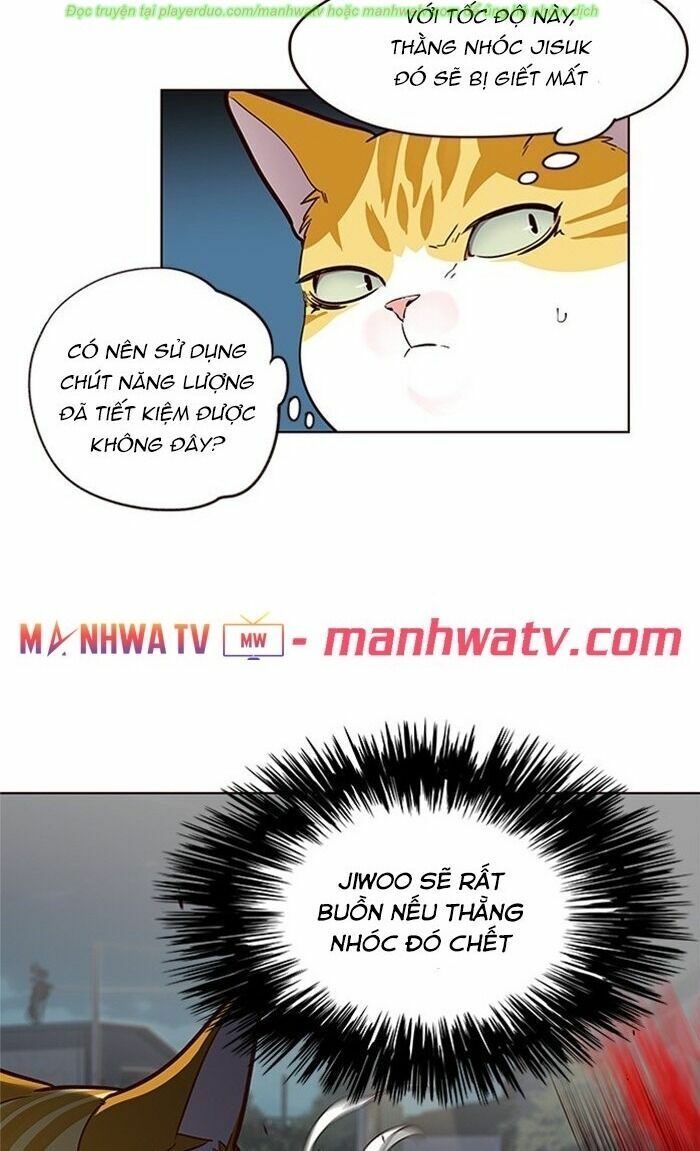 Hoá Thân Thành Mèo: Chapter 43