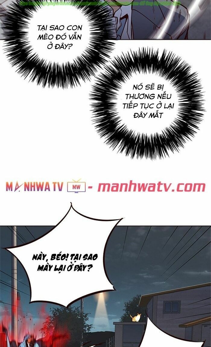 Hoá Thân Thành Mèo: Chapter 43