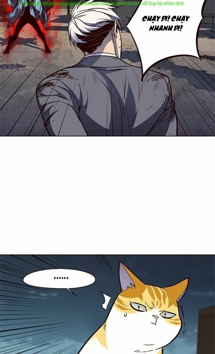 Hoá Thân Thành Mèo: Chapter 43