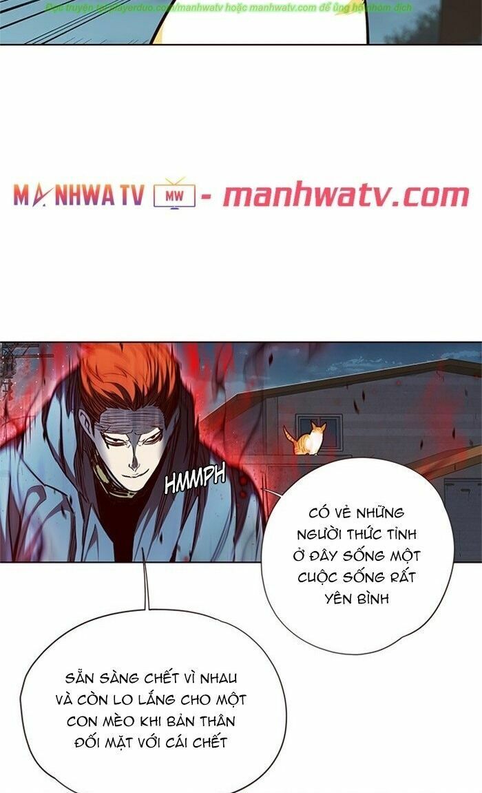 Hoá Thân Thành Mèo: Chapter 43