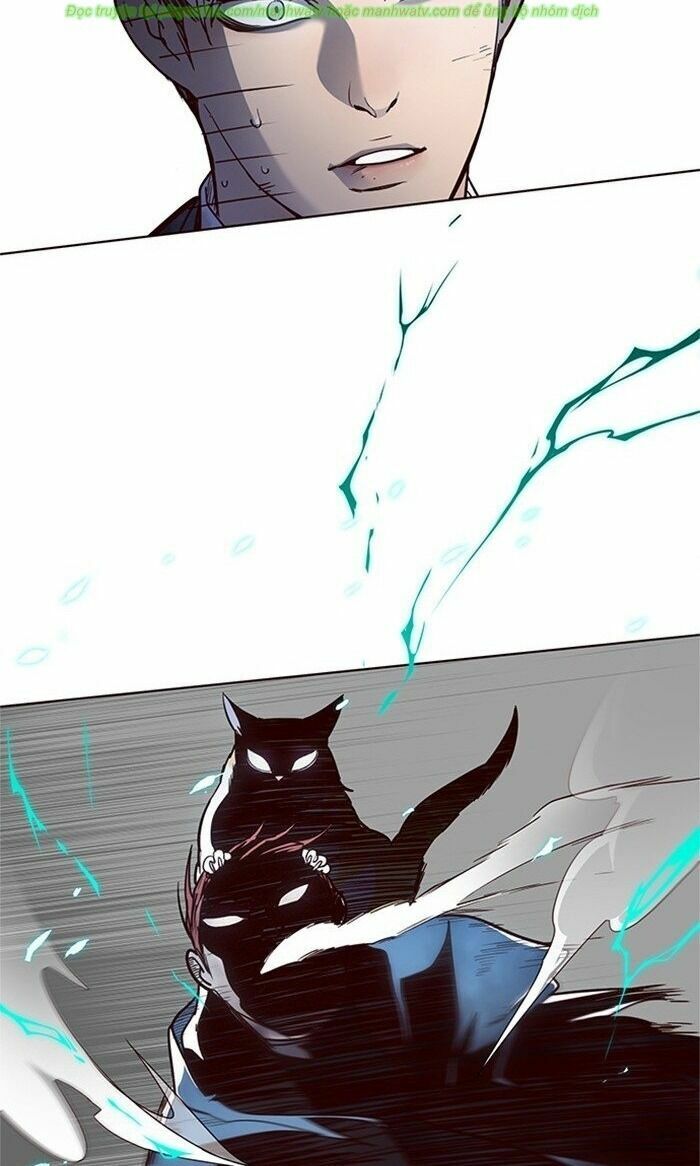 Hoá Thân Thành Mèo: Chapter 43