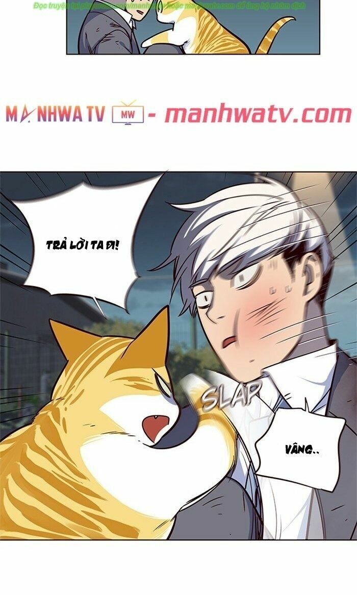 Hoá Thân Thành Mèo: Chapter 43
