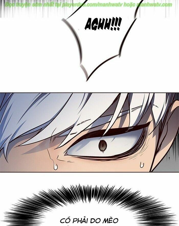 Hoá Thân Thành Mèo: Chapter 45