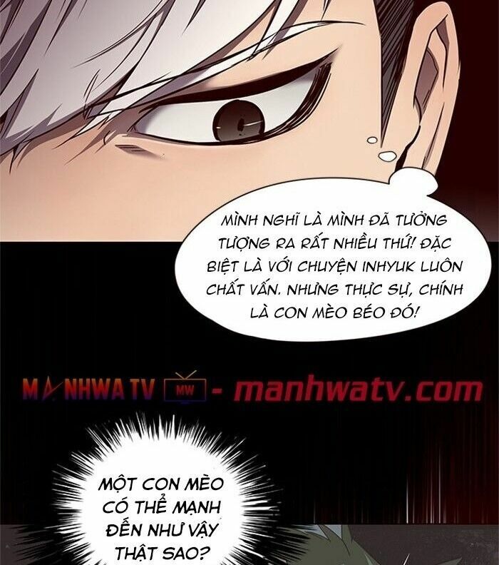 Hoá Thân Thành Mèo: Chapter 46