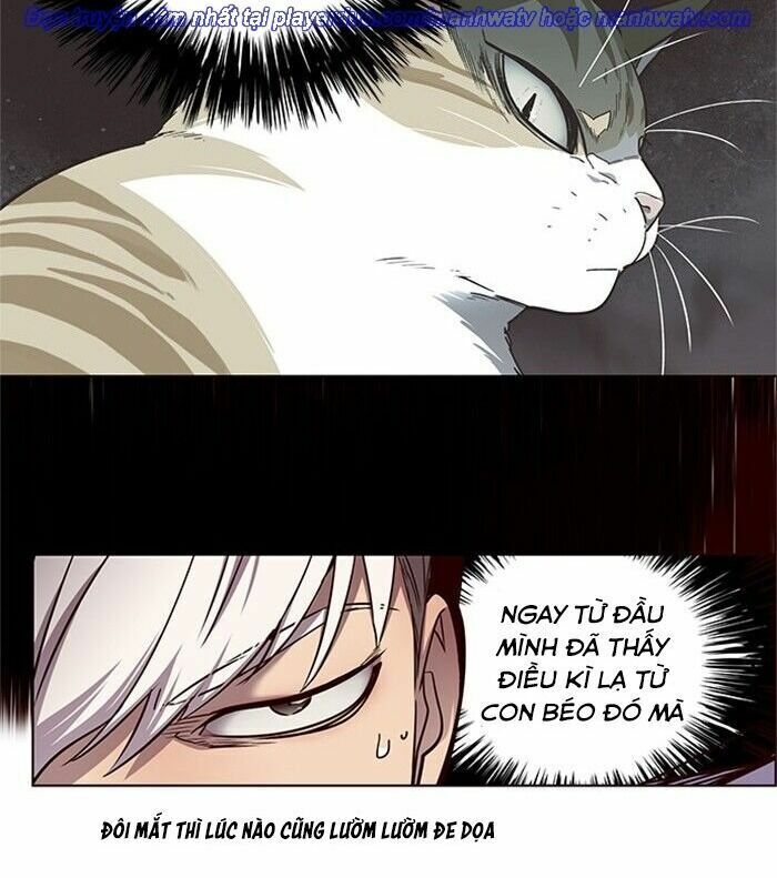 Hoá Thân Thành Mèo: Chapter 46