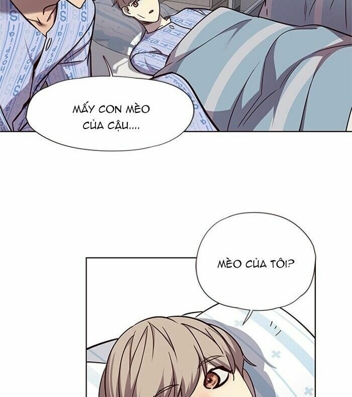 Hoá Thân Thành Mèo: Chapter 46