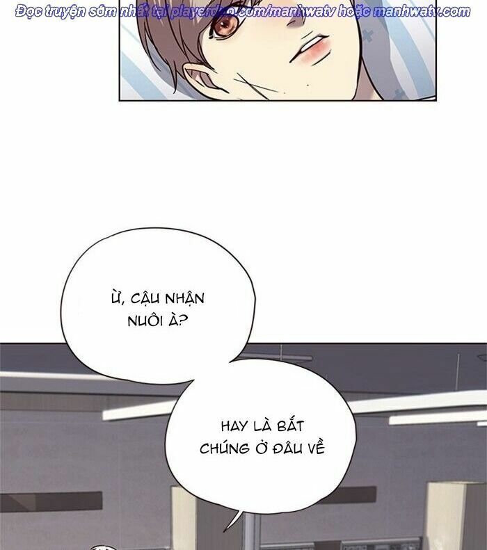 Hoá Thân Thành Mèo: Chapter 46
