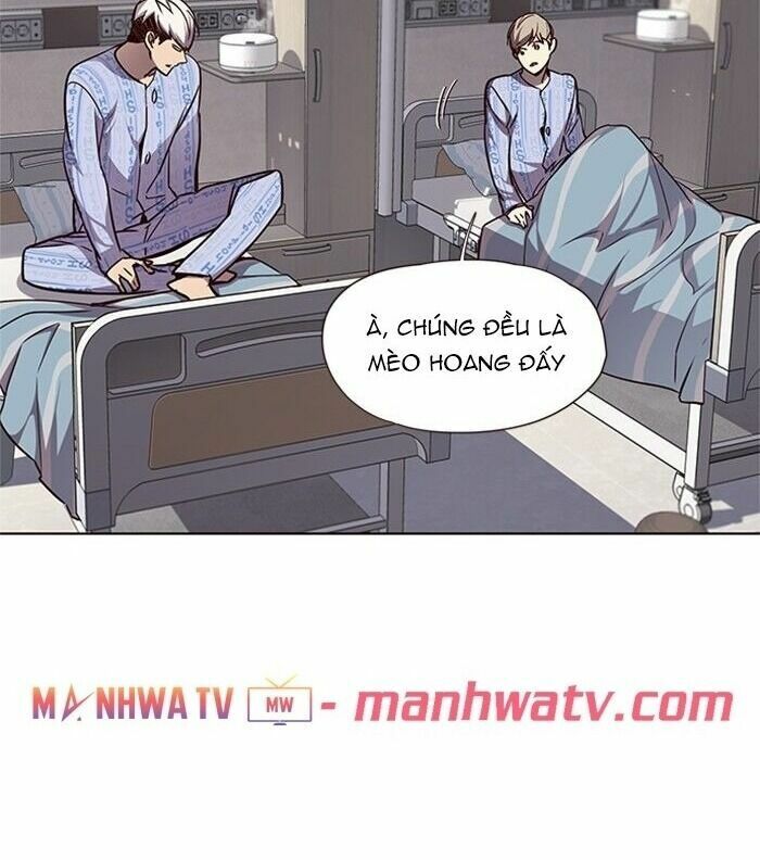 Hoá Thân Thành Mèo: Chapter 46