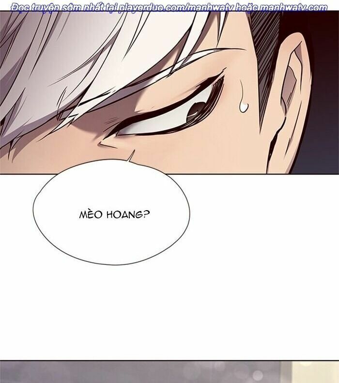 Hoá Thân Thành Mèo: Chapter 46