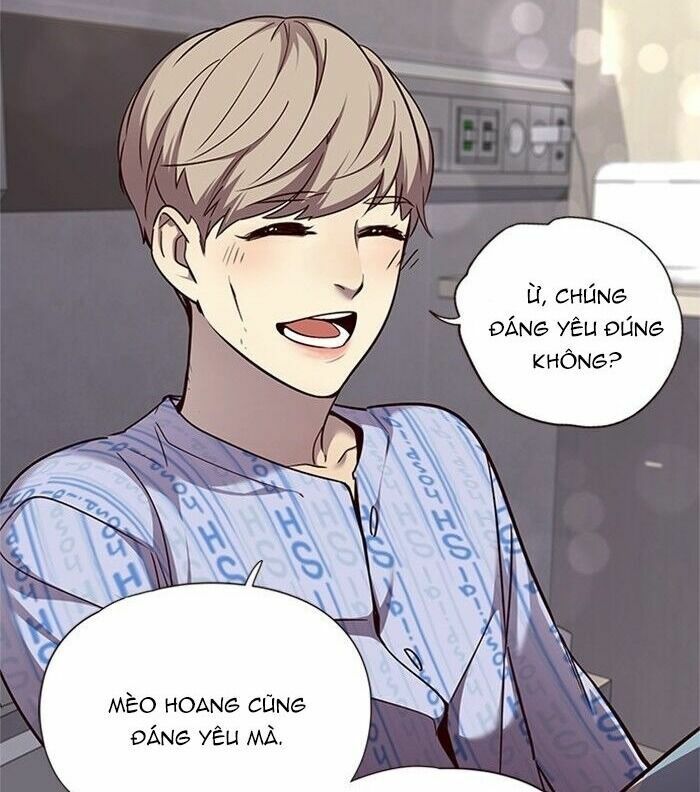 Hoá Thân Thành Mèo: Chapter 46