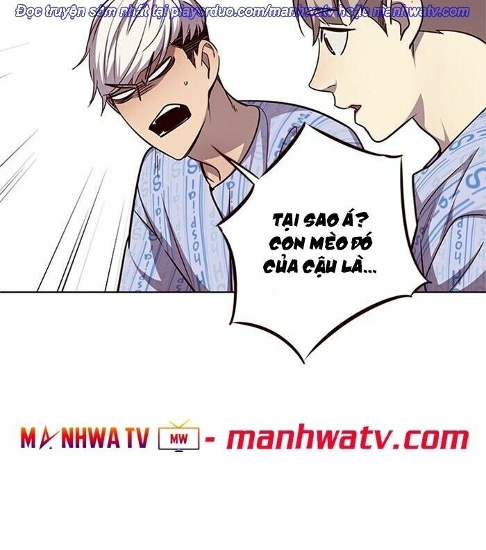 Hoá Thân Thành Mèo: Chapter 46