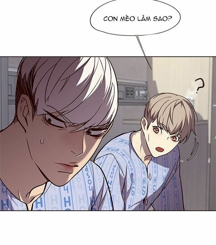 Hoá Thân Thành Mèo: Chapter 46